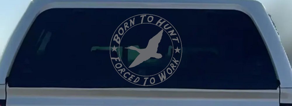 Born To Hunt Forced To Work Duck Hunting Car or Truck Window Decal Sticker
