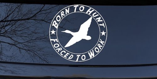 Born To Hunt Forced To Work Duck Hunting Car or Truck Window Decal Sticker (White)