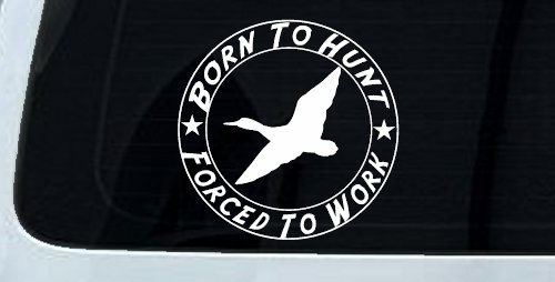 Born To Hunt Forced To Work Duck Hunting Car or Truck Window Vinyl Decal Sticker (White)