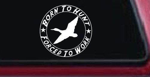 Born To Hunt Forced To Work Duck Hunting Car or Truck Window Decal Sticker (White)