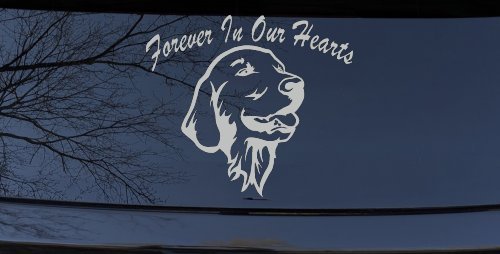 Forever In Our Hearts Golden Retriever Dog Car or Truck Window Vinyl Decal Sticker (Light Gray)