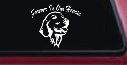 Forever In Our Hearts Golden Retriever Dog Car or Truck Window Vinyl Decal Sticker (White)