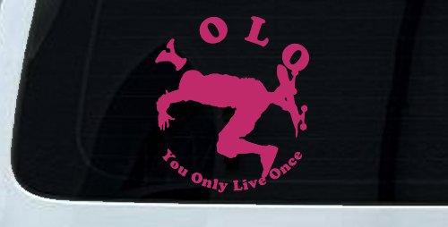 YOLO You Only Live Once Skateboard Car or Truck Window Decal Sticker (Hot Pink)