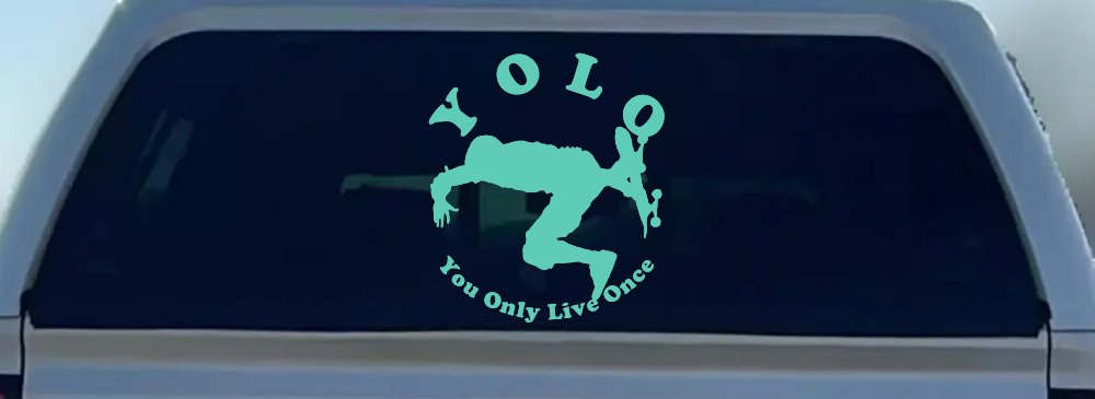 YOLO You Only Live Once Skateboard Car or Truck Window Decal Sticker (Mint)