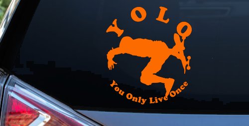 YOLO You Only Live Once Skateboard Car or Truck Window Decal Sticker (Orange)