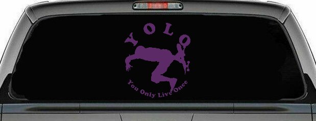 YOLO You Only Live Once Skateboard Car or Truck Window Decal Sticker (Violet)