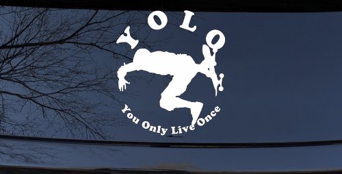YOLO You Only Live Once Skateboard Car or Truck Window Decal Sticker (White)