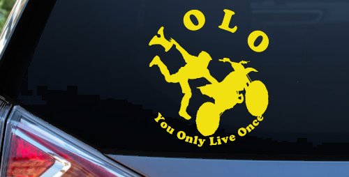 YOLO You Only Live Once Freestyle Moto X Sports Car or Truck Window Decal Sticker