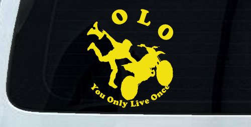 YOLO You Only Live Once Freestyle Moto X Sports Car or Truck Window Decal Sticker