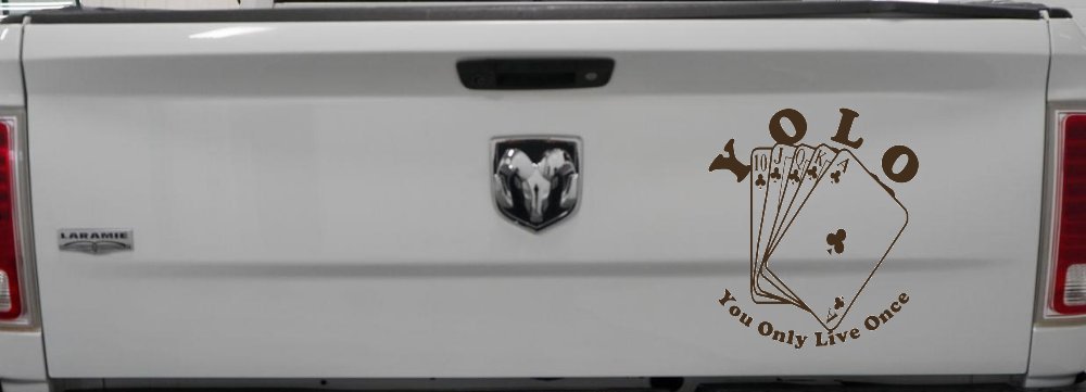 YOLO You Only Live Once Gambling Poker Other Car or Truck Window Decal Sticker (Brown)