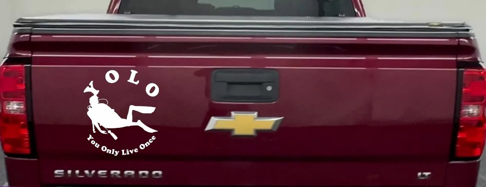 YOLO You Only Live Once Skuba Diving Sports Car or Truck Window Decal Sticker