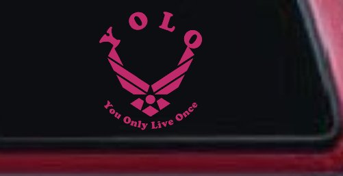 YOLO You Only Live Once Air Force Military Car or Truck Window Vinyl Decal Sticker (Hot Pink)