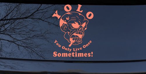 YOLO You Only Live Once Sometimes Zombie Funny Car or Truck Window Decal Sticker (Coral)