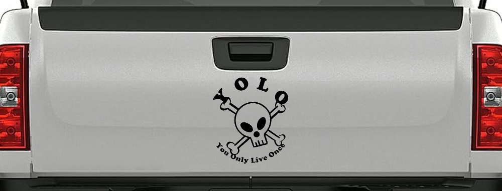 YOLO You Only Live Once Cute Skull Skulls Car or Truck Window Decal Sticker (Black)