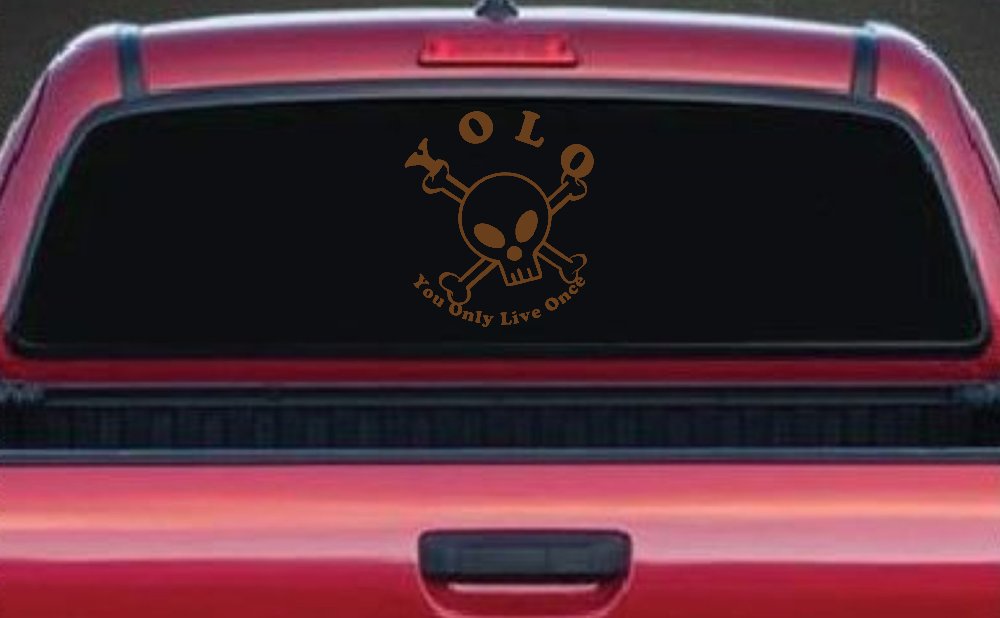 YOLO You Only Live Once Cute Skull Skulls Car or Truck Window Decal Sticker (Copper)