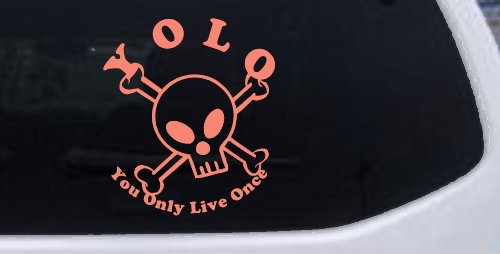 YOLO You Only Live Once Cute Skull Skulls Car or Truck Window Decal Sticker (Coral)