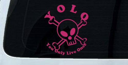 YOLO You Only Live Once Cute Skull Skulls Car or Truck Window Decal Sticker (Hot Pink)