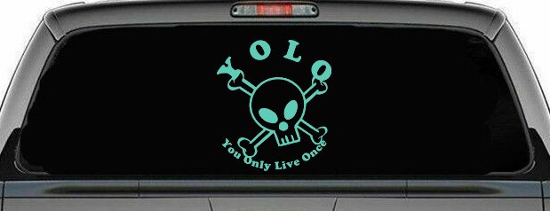 YOLO You Only Live Once Cute Skull Skulls Car or Truck Window Vinyl Decal Sticker (Mint)