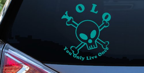 YOLO You Only Live Once Cute Skull Skulls Car or Truck Window Decal Sticker (Turquoise)