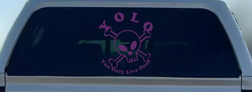 YOLO You Only Live Once Cute Skull Skulls Car or Truck Window Decal Sticker (Violet)