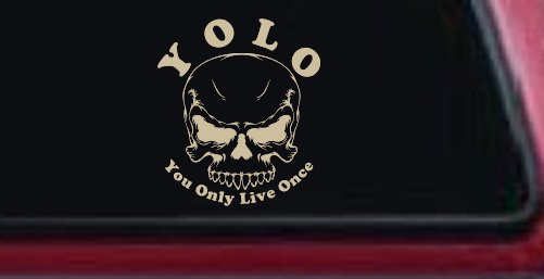 YOLO You Only Live Once Mean Skull Skulls Car or Truck Window Vinyl Decal Sticker (Desert Sand)