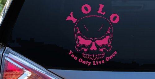 YOLO You Only Live Once Mean Skull Skulls Car or Truck Window Decal Sticker (Hot Pink)