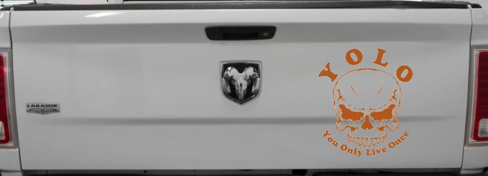 YOLO You Only Live Once Mean Skull Skulls Car or Truck Window Vinyl Decal Sticker (Nut Brown)
