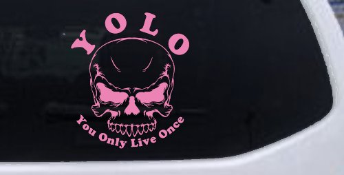 YOLO You Only Live Once Mean Skull Skulls Car or Truck Window Decal Sticker (Pink)