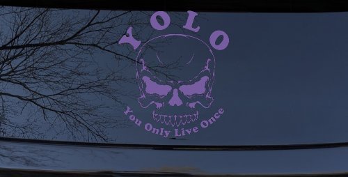 YOLO You Only Live Once Mean Skull Skulls Car or Truck Window Decal Sticker (Purple)