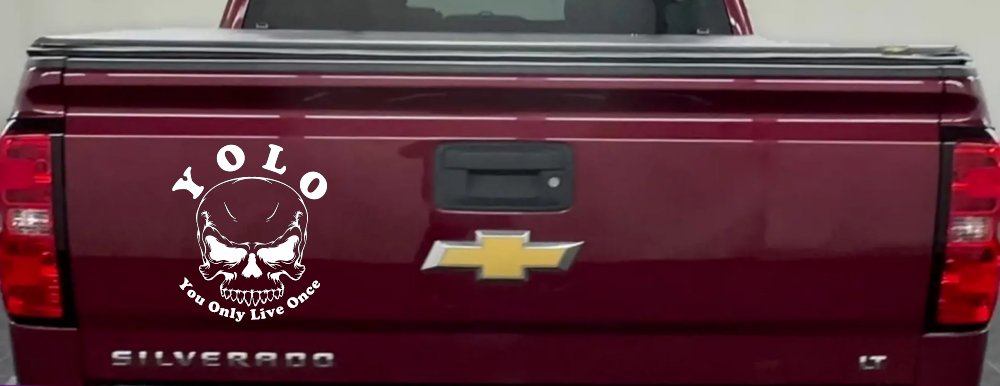YOLO You Only Live Once Mean Skull Skulls Car or Truck Window Vinyl Decal Sticker (White)