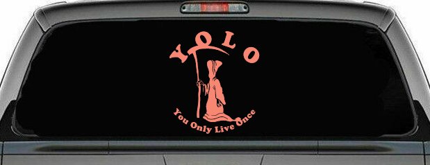 YOLO You Only Live Once Grim Reaper Funny Car or Truck Window Decal Sticker (Coral)
