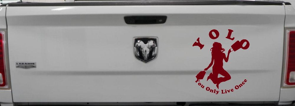 YOLO You Only Live Once Shopping Car or Truck Window Decal Sticker