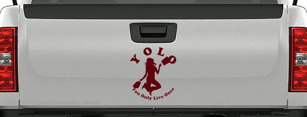 YOLO You Only Live Once Shopping Car or Truck Window Decal Sticker