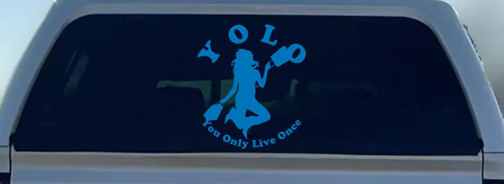 YOLO You Only Live Once Shopping Car or Truck Window Decal Sticker