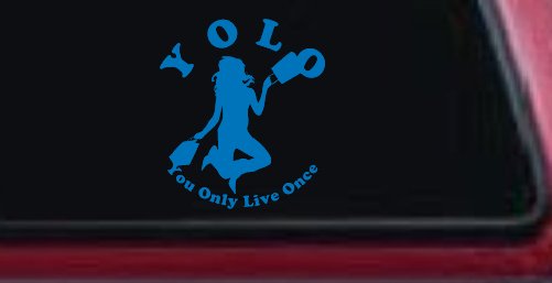 YOLO You Only Live Once Shopping Car or Truck Window Decal Sticker