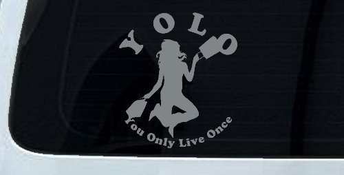 YOLO You Only Live Once Shopping Car or Truck Window Decal Sticker