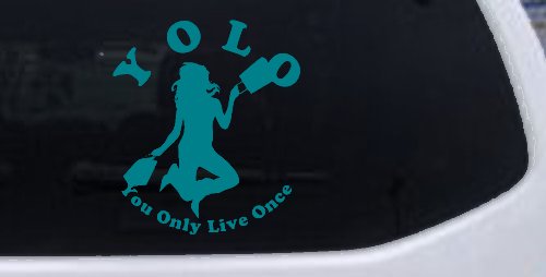 YOLO You Only Live Once Shopping Car or Truck Window Decal Sticker