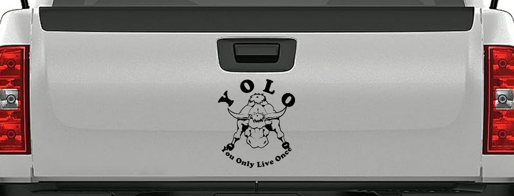 YOLO You Only Live Once Big Bull Western Rodeo Ranch Farm Car or Truck Window Decal Sticker