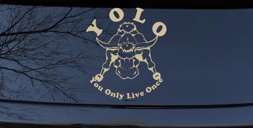 YOLO You Only Live Once Big Bull Western Rodeo Ranch Farm Car or Truck Window Vinyl Decal Sticker (Desert Sand)