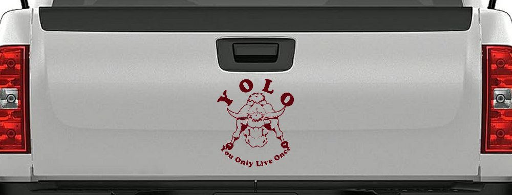 YOLO You Only Live Once Big Bull Western Rodeo Ranch Farm Car or Truck Window Decal Sticker