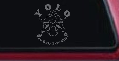 YOLO You Only Live Once Big Bull Western Rodeo Ranch Farm Car or Truck Window Decal Sticker