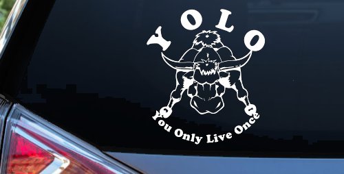 YOLO You Only Live Once Big Bull Western Rodeo Ranch Farm Car or Truck Window Vinyl Decal Sticker (White)