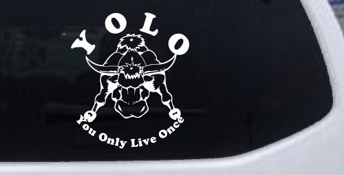 YOLO You Only Live Once Big Bull Western Rodeo Ranch Farm Car or Truck Window Decal Sticker (White)