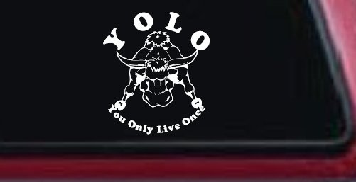 YOLO You Only Live Once Big Bull Western Rodeo Ranch Farm Car or Truck Window Decal Sticker (White)