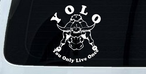 YOLO You Only Live Once Big Bull Western Rodeo Ranch Farm Car or Truck Window Decal Sticker (White)