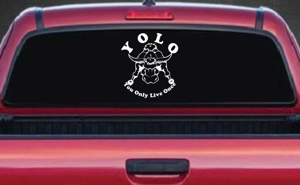 YOLO You Only Live Once Big Bull Western Rodeo Ranch Farm Car or Truck Window Vinyl Decal Sticker (White)