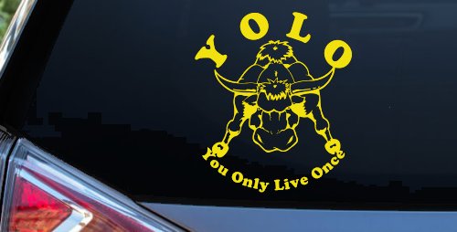 YOLO You Only Live Once Big Bull Western Rodeo Ranch Farm Car or Truck Window Vinyl Decal Sticker (Yellow)