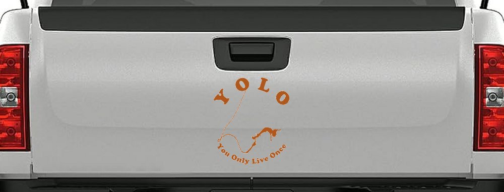 YOLO You Only Live Once Bungie Jump Car or Truck Window Decal Sticker