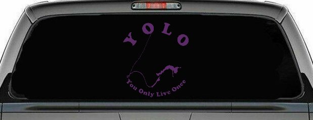 YOLO You Only Live Once Bungie Jump Car or Truck Window Decal Sticker