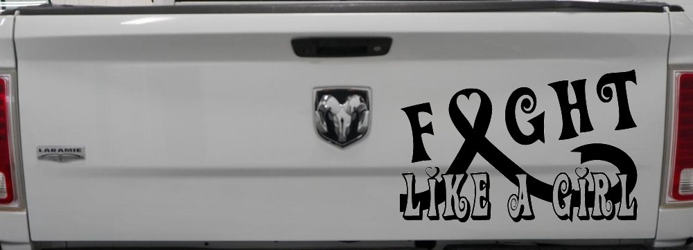 Fight Like a Girl Breast Cancer Car or Truck Window Vinyl Decal Sticker (Matte Black)